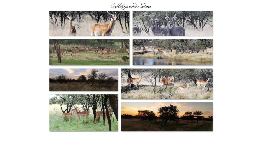 0 Bedroom Property for Sale in Welkom Rural Free State
